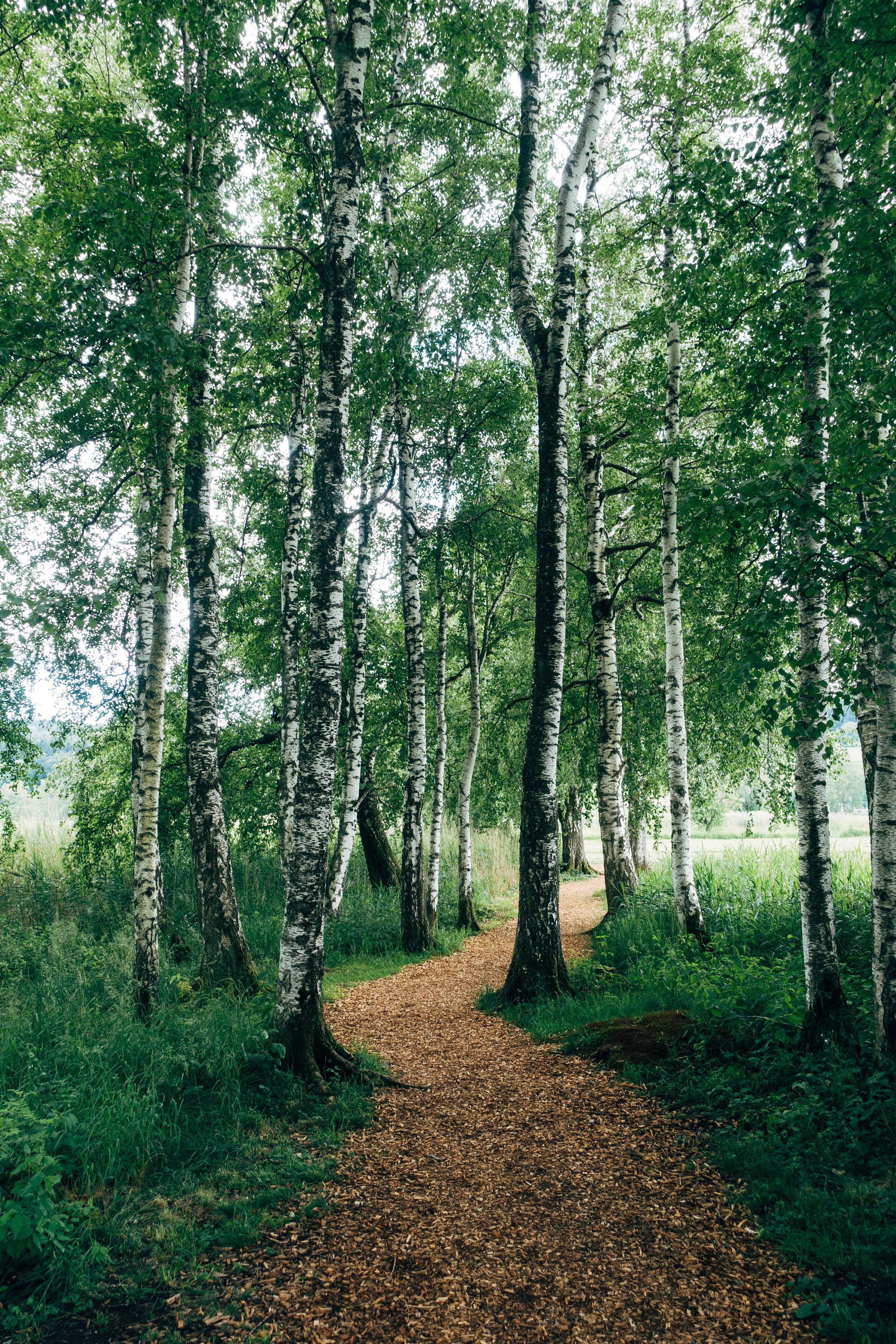 Naturligt.se